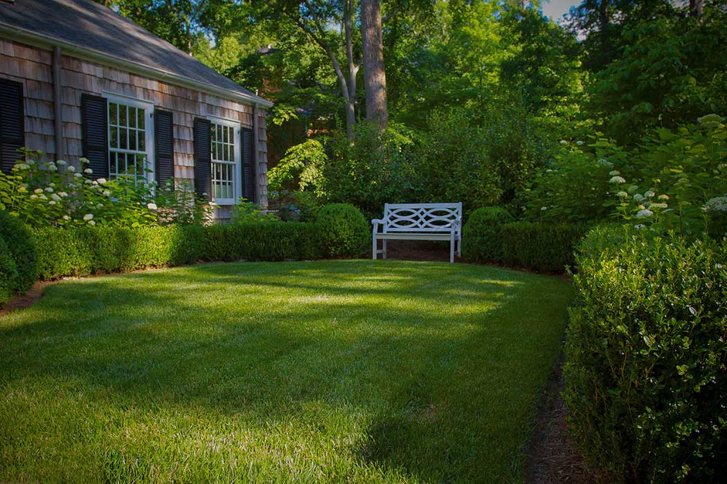 Entry Court and Bench