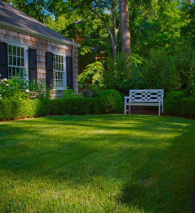 Entry Court and Bench