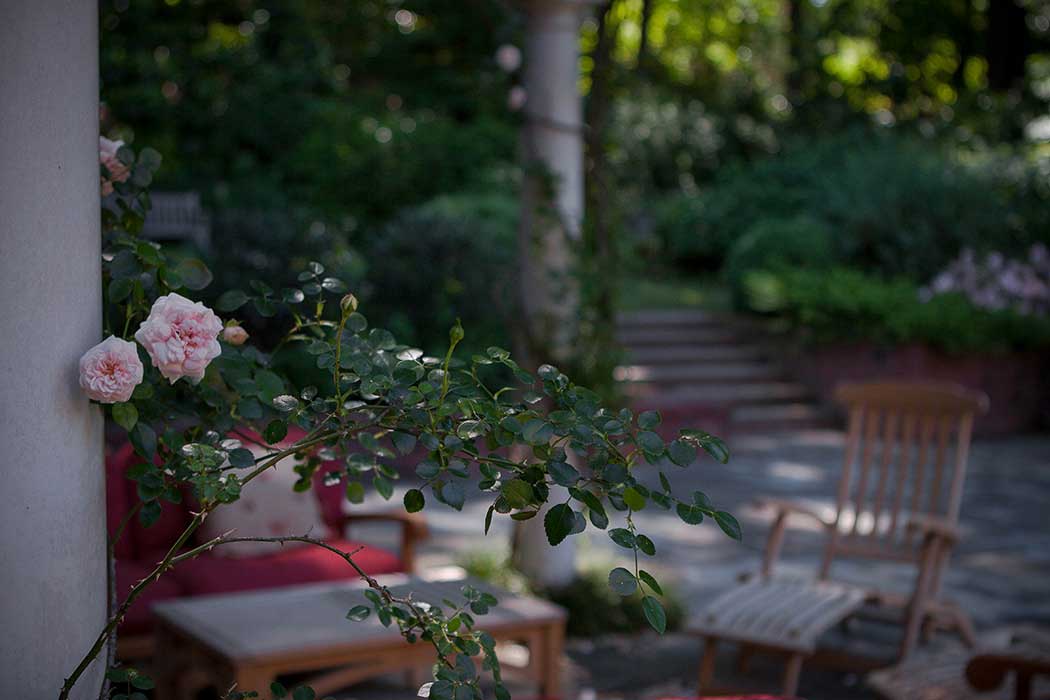 Leaning Rose Terrace with Casual Seating
