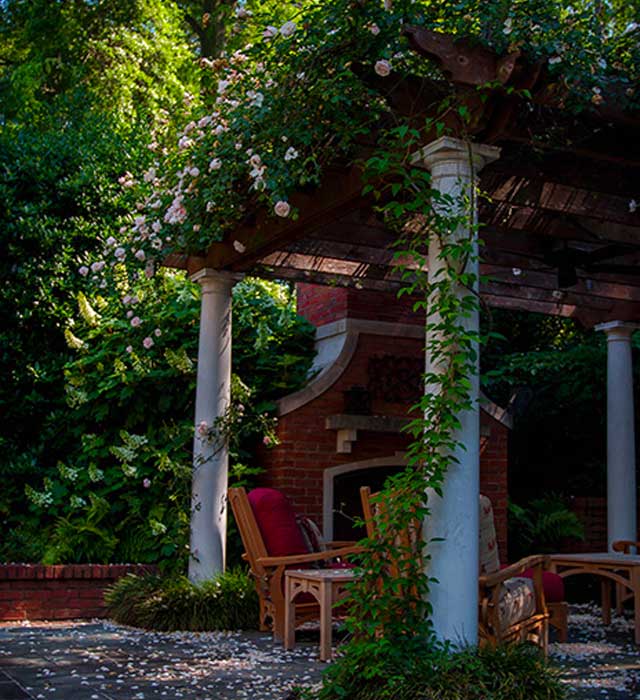 Perfect Rose Pergola in Buckhead