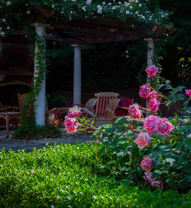 Rose Pergola and stone terrace for entertaining