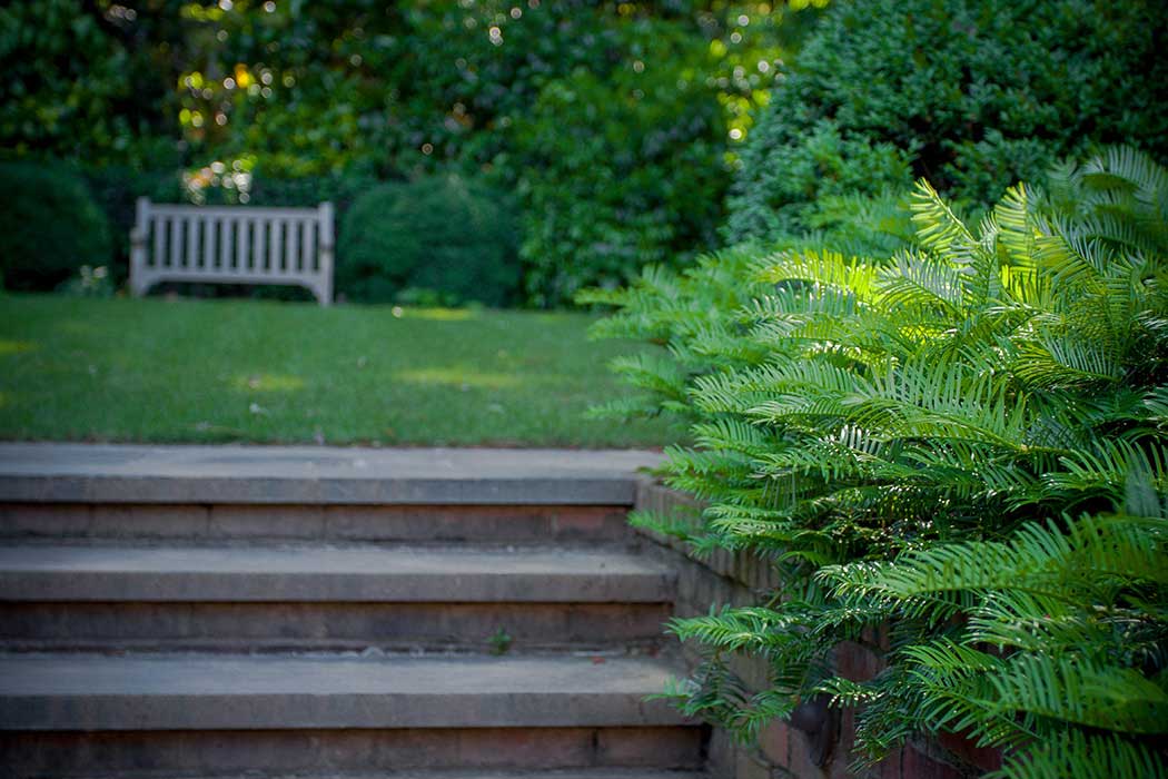 Slate Stone steps and courtyard