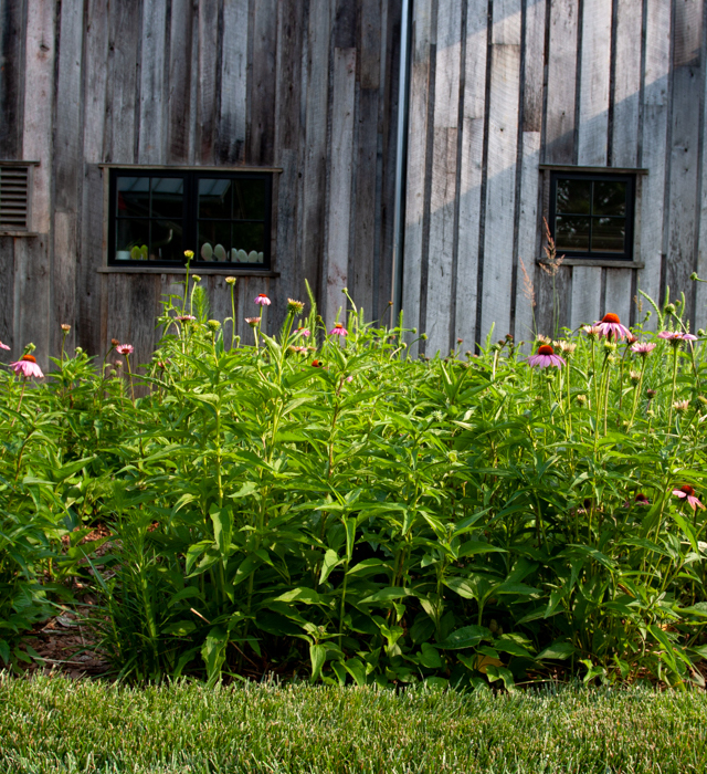 Rustic Retreat