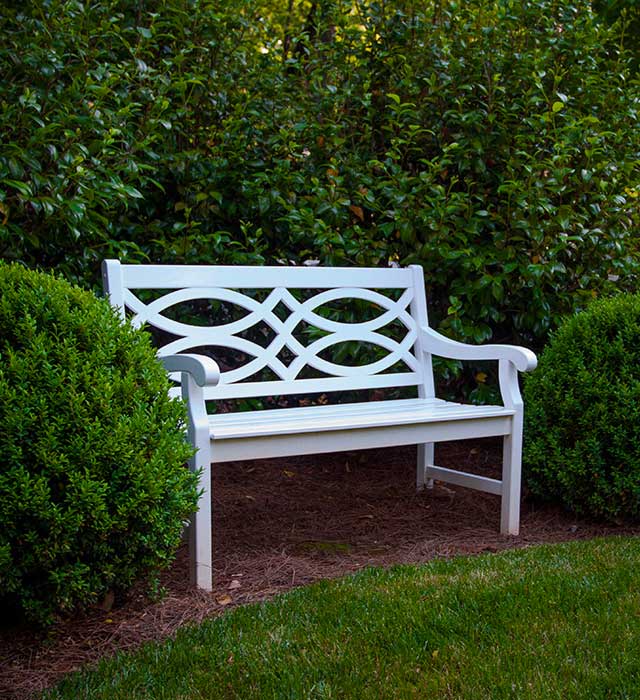 Bench on Cape Cod