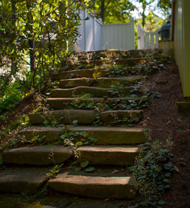 Stone Steps in the Morning