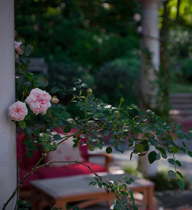 Leaning Rose Terrace with Casual Seating